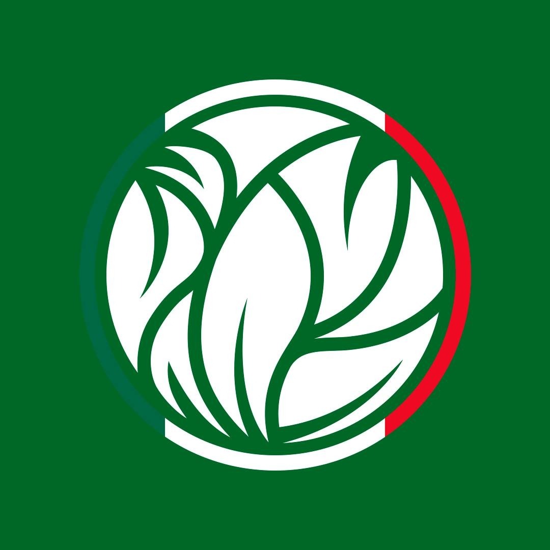 HGW-MEXICO